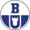 Logo Boryszew